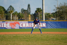 Enlarge photo 231