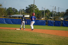 Enlarge photo 332