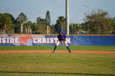 Enlarge photo 345