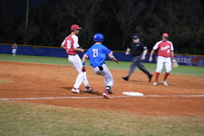 Enlarge photo 57
