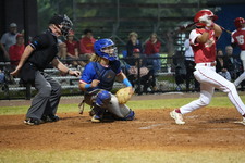 Enlarge photo 169