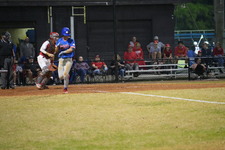 Enlarge photo 319