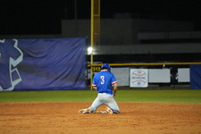 Enlarge photo 344
