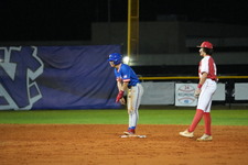 Enlarge photo 347