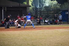 Enlarge photo 370