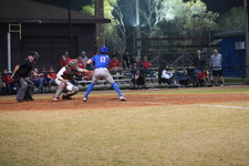 Enlarge photo 371