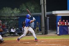 Enlarge photo 447