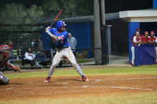 Enlarge photo 462