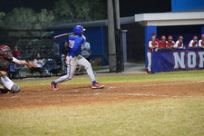 Enlarge photo 479