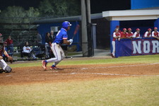 Enlarge photo 481