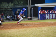Enlarge photo 482