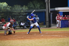Enlarge photo 494