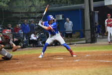 Enlarge photo 533