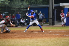 Enlarge photo 543