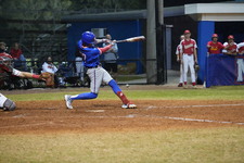 Enlarge photo 564