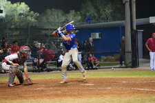 Enlarge photo 728