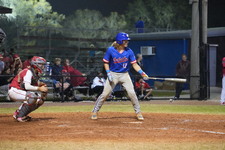 Enlarge photo 748
