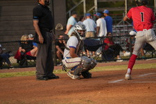 Enlarge photo 99