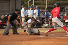 Enlarge photo 113