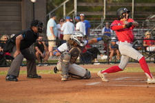 Enlarge photo 115