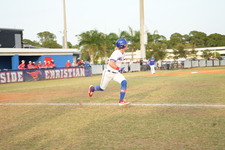 Enlarge photo 224
