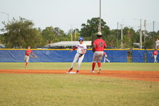 Enlarge photo 311