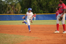 Enlarge photo 358