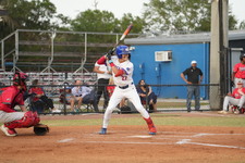 Enlarge photo 431