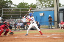 Enlarge photo 442