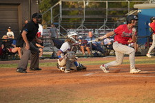 Enlarge photo 599