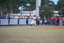 Enlarge photo 1542