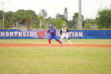 Enlarge photo 220