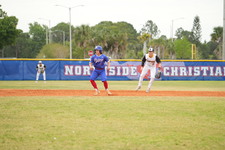 Enlarge photo 230