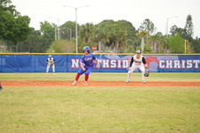 Enlarge photo 232