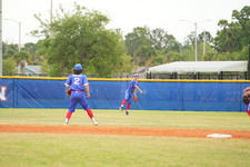 Enlarge photo 329