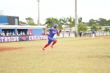 Enlarge photo 399