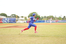Enlarge photo 408