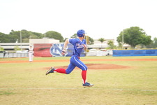 Enlarge photo 459