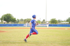 Enlarge photo 463