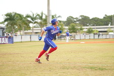 Enlarge photo 656