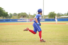 Enlarge photo 667