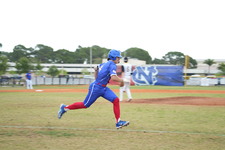 Enlarge photo 1031
