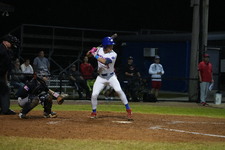 Enlarge photo 242