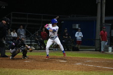 Enlarge photo 243