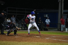 Enlarge photo 244