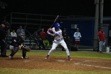 Enlarge photo 248