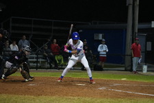 Enlarge photo 249