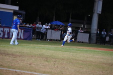Enlarge photo 326
