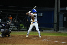 Enlarge photo 484