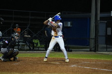 Enlarge photo 485